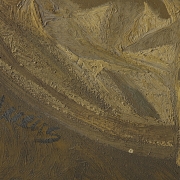 Miguel Vicens Riera (1949) 