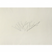 Blanca Muñoz Gonzalo (1963) “Divergent,” 2005