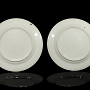 Pareja de platos de porcelana