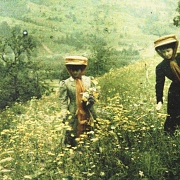 Reproducción en Autochrome, 
