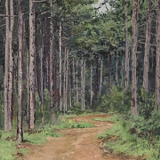 Salvador Llosá I Selvi (1962) 