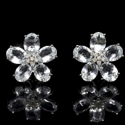 Pendientes 