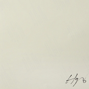 罗道夫·洛皮斯·西斯内罗斯 Rodolfo Llopis Cisneros（1955）《共处而不混杂IV》2005 - 5