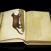 Jacobus Honoratus Pomar ‘Atlas of Natural History’, 1990 - 2