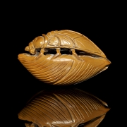 Wood carving ‘Cicada on a leaf’, 20th century - 2