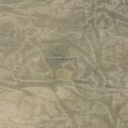 Dickhoff in Salm (1890–1920) ‘Silver tray’, Netherlands