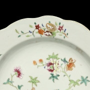 Pink family ‘Flowers and rocaille’ porcelain dish, Qing dynasty - 2