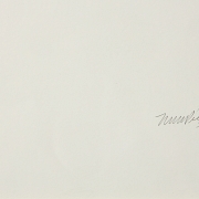 瑪塔‧瑪麗亞‧佩雷斯‧布拉沃 Marta María Pérez Bravo (1959) 《基尼基尼》，2003 - 1