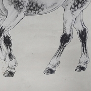 Pintura china “Caballo”, con firma Pu Zuo - 4