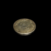 Dólar de plata 