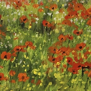 Francesc Vidal Vives (1957) ‘Field of Poppies’