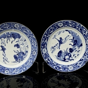Pareja de platos de porcelana 