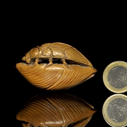 Wood carving ‘Cicada on a leaf’, 20th century