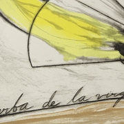 何塞·贝迪亚 José Bedia（1959-）《草地上的圣母》，2004年