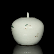 Recipiente de porcelana esmaltada