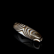 Agate Dzi Pendant ‘Eye of Vajra’, Liao Dynasty - 4