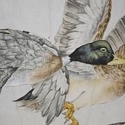 Chinese fan painting “Ducks Among Lotus Flowers,” signed Liu Kuiling