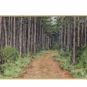 Salvador Llosá I Selvi (1962) 