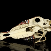 Skull decorated with beads, Huichol culture, Mexico, 20th century