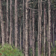 Salvador Llosá I Selvi (1962) 