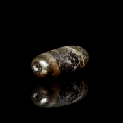 Antique brown agate Dzi bead - 1
