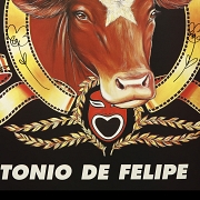 Antonio de Felipe (1965) 