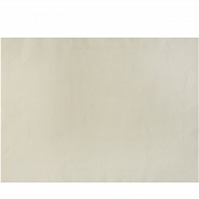 Albert Ràfols-Casamada (1923-2009) “Jardí”, 2004 - 5