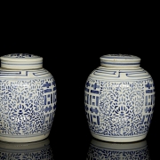 Pareja de tarros de jengibre