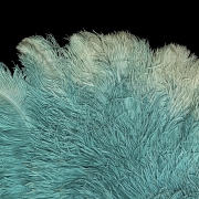 Feather fan with black ribs, 20th century
