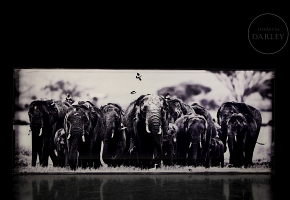 Laurent Baheux (1970)