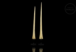 Dos huesos de pez vela, s.XX