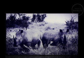 Laurent Baheux (1970)