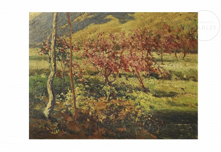 Josep Gelabert i Rincón (1859-1936), 