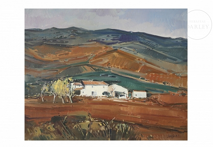 José Cózar Viedma (1944) 