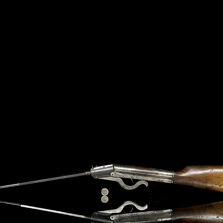 Air rifle, 19th-20th century - 8