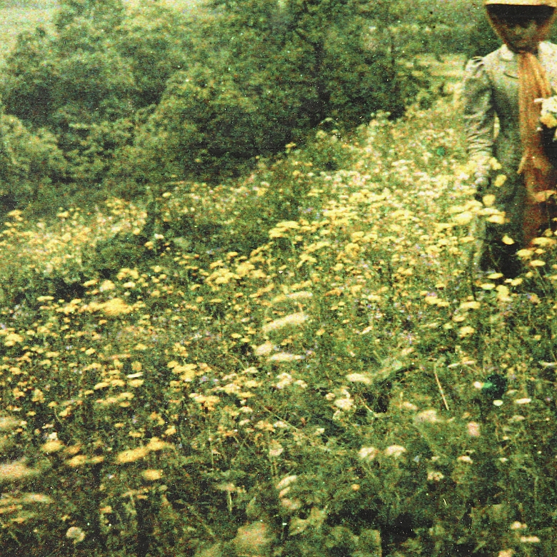Reproducción en Autochrome, 