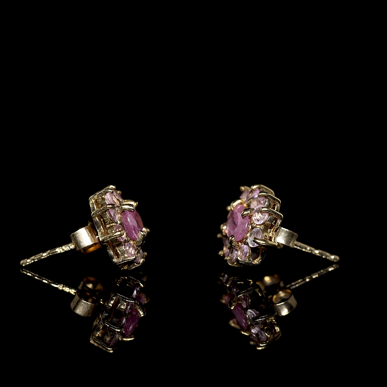 Pareja de pendientes 