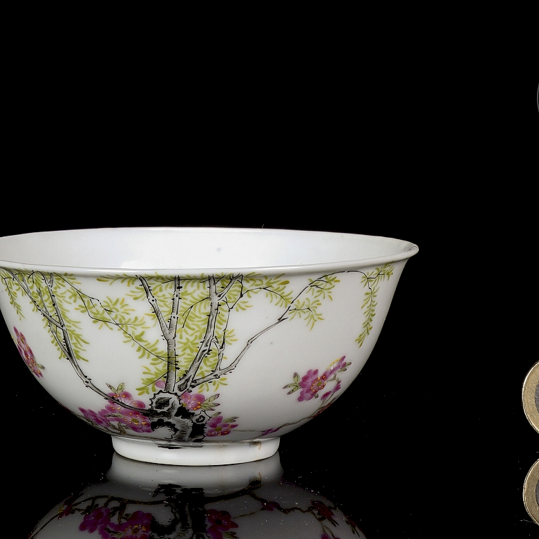 Cuenco de porcelana esmaltada 