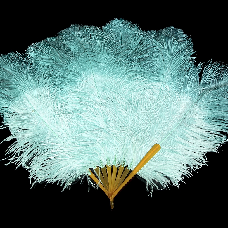 Fan with sky blue feathers, 20th century