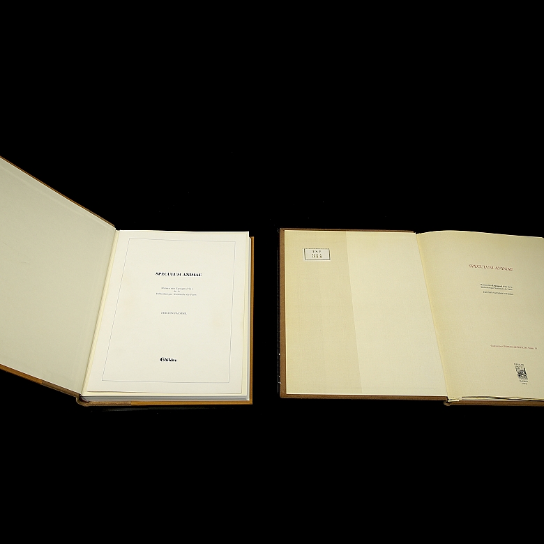 Facsimile of ‘Especulum animae’, 1922