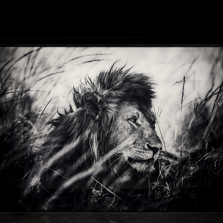 Laurent Baheux (1970)