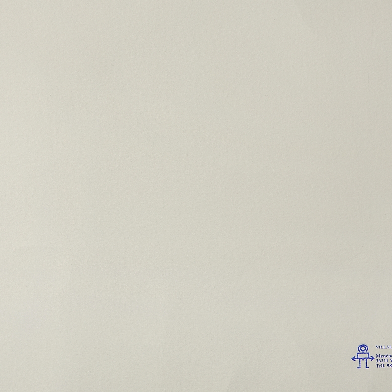 何塞·贝迪亚 José Bedia（1959-）《草地上的圣母》，2004年