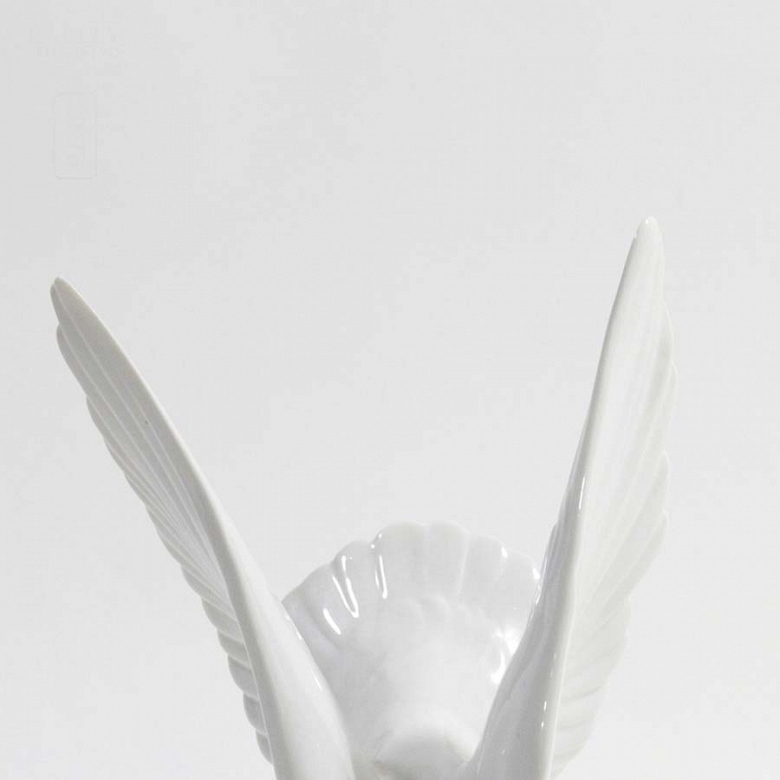 Tórtola de Lladró - 8