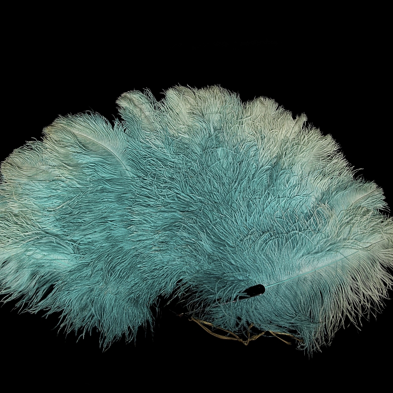 Feather fan with black ribs, 20th century