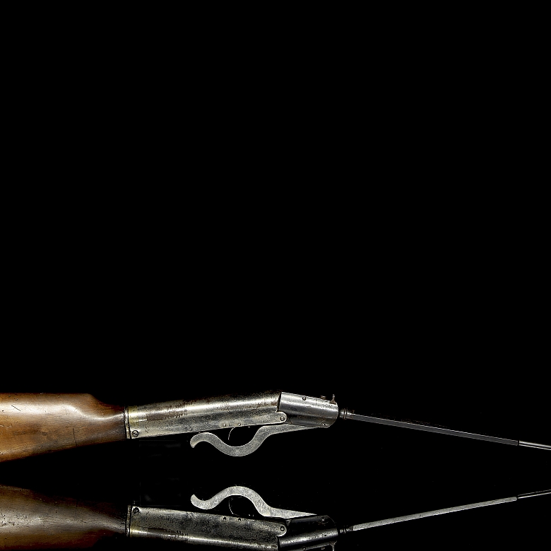 Air rifle, 19th-20th century - 1