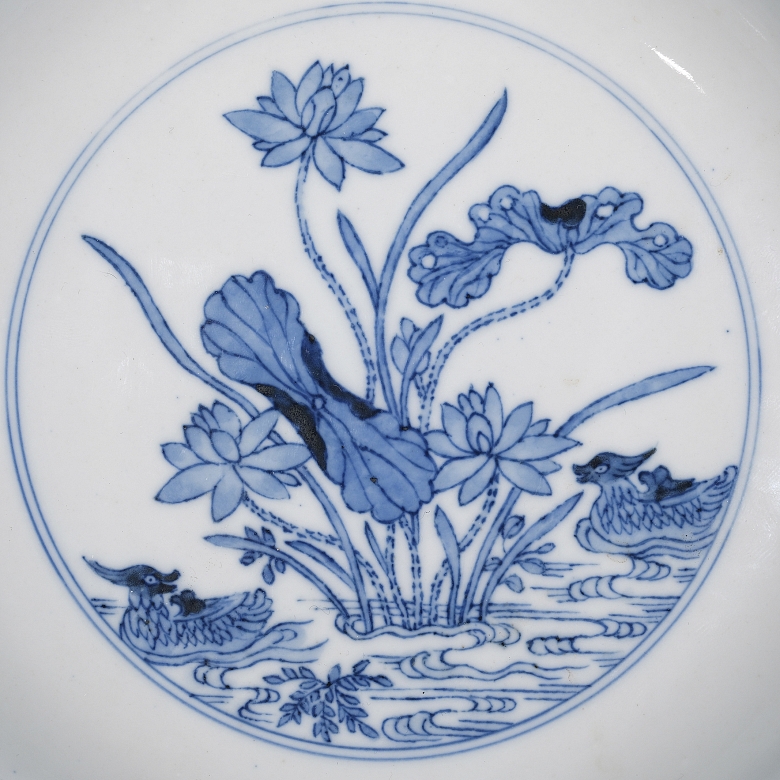 Plato de porcelana 