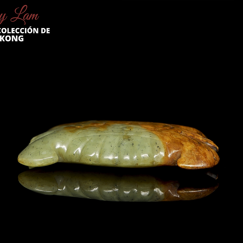 Colgante de jade 