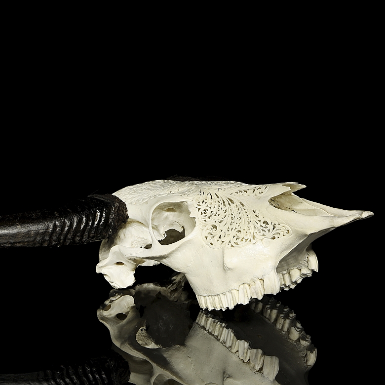 Carved water buffalo skull, 20th century