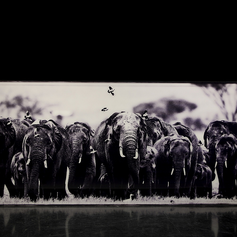 Laurent Baheux (1970)