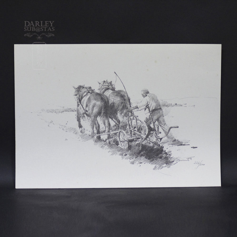 Conrado Meseguer Munoz 3 Lithographs - 5